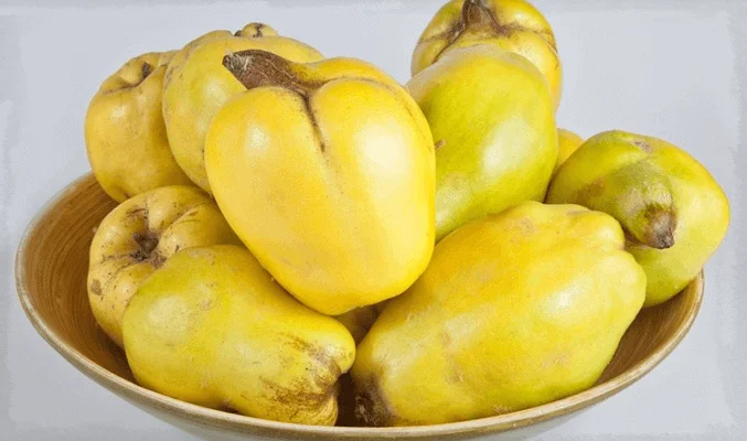 Плоды айвы