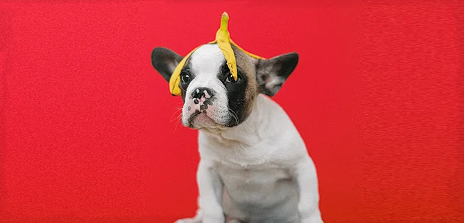 bananovyj koktejl vred