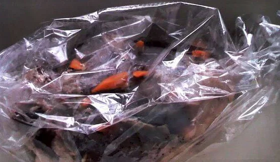 Делая проколы ножом, нашпиговать ногу чесноком и морковью.Натереть солью и перцем. Щедро обмазать медом. Положить в рукав для запекания и плотно закрыть концы.