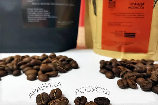 Арабика и робуста: фото-сравнение, как отличить