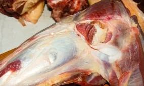 Говяжья голень: что это такое и как приготовить?