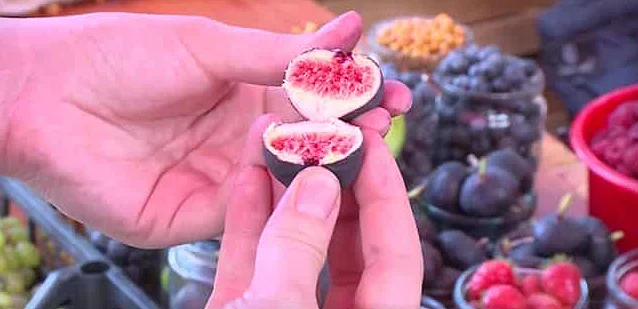 Разрезанный плод инжира